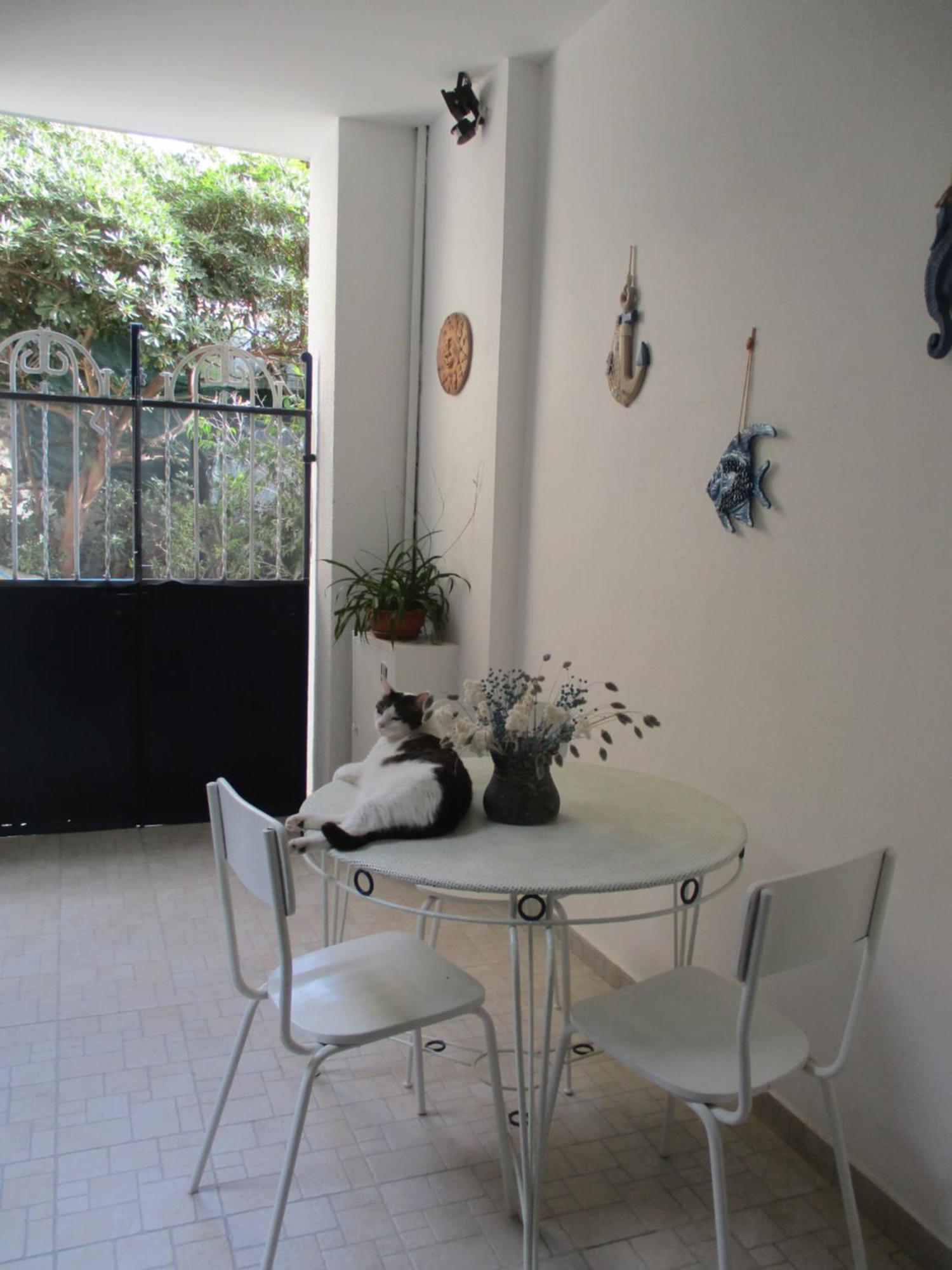 La Casa Del Nespolo Tranquillo Alloggio Vicino Alla Stazione 산레모 외부 사진